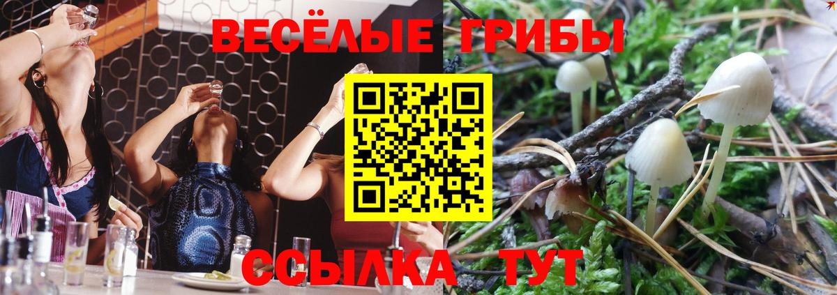 Губкин  Галлюциногенные грибы Cubensis  Галлюциногенные грибы Psilocybe  Вход с VPN 