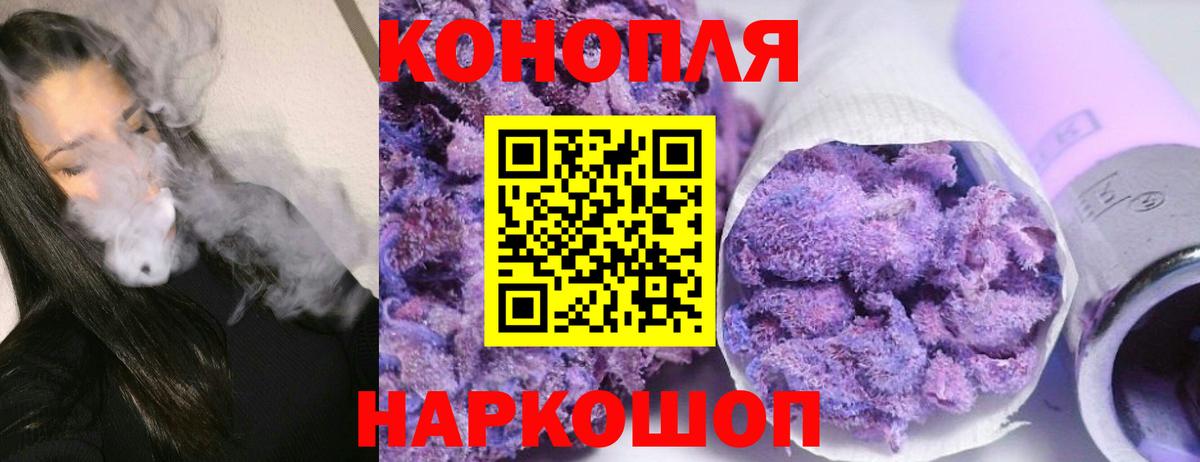 Шишки марихуана семена Губкин